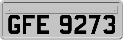 GFE9273