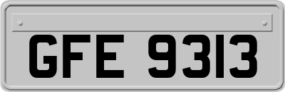 GFE9313