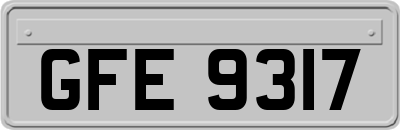 GFE9317