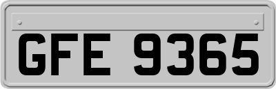 GFE9365