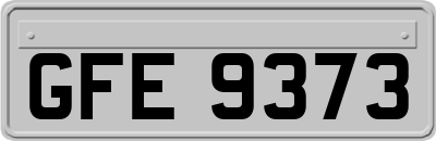 GFE9373