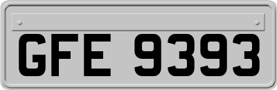 GFE9393