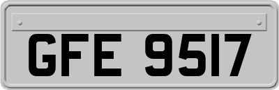 GFE9517