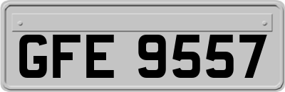 GFE9557