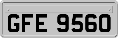 GFE9560