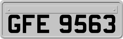 GFE9563