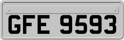 GFE9593