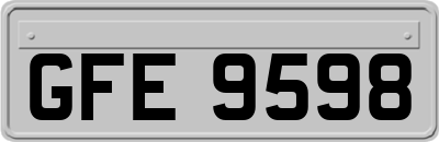 GFE9598