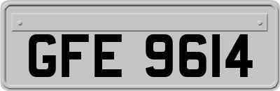 GFE9614