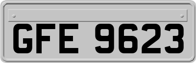 GFE9623