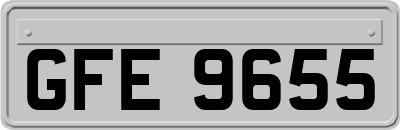 GFE9655