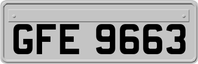 GFE9663