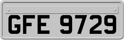 GFE9729