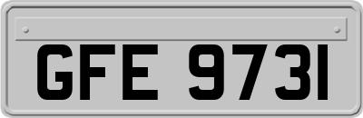 GFE9731