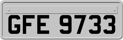 GFE9733