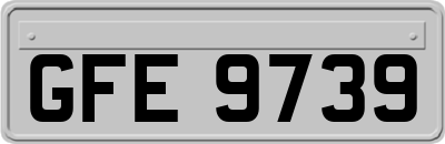 GFE9739
