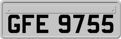 GFE9755