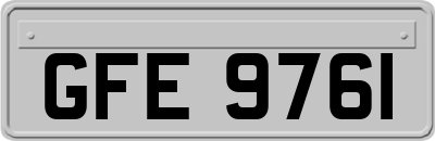 GFE9761