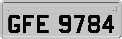 GFE9784