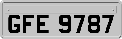 GFE9787