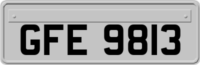 GFE9813