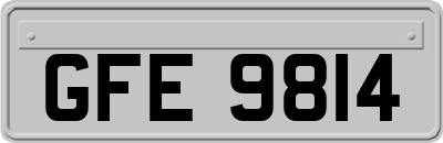 GFE9814