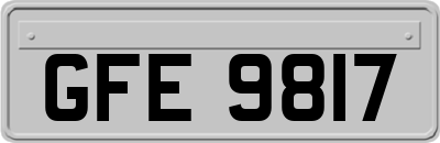 GFE9817