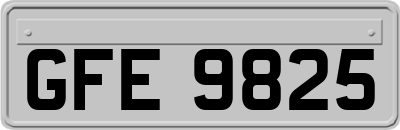 GFE9825