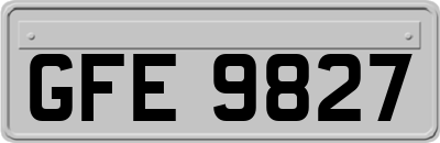 GFE9827