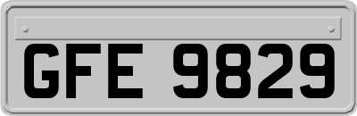GFE9829