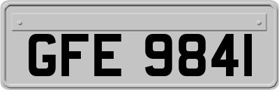 GFE9841