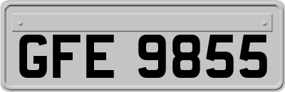 GFE9855