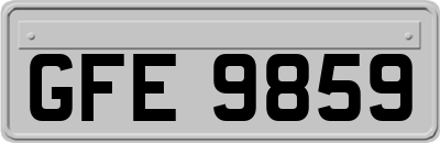 GFE9859