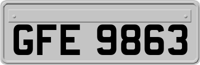 GFE9863