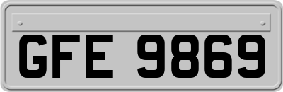 GFE9869
