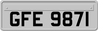 GFE9871