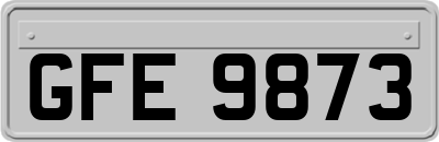 GFE9873