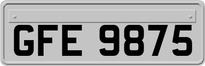 GFE9875