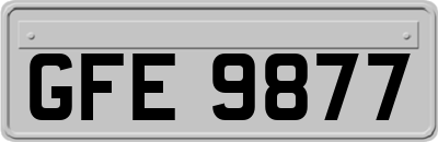 GFE9877