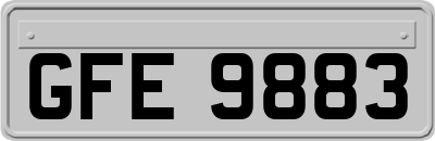 GFE9883