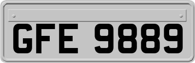 GFE9889