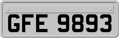 GFE9893