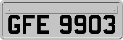GFE9903
