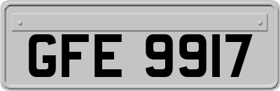 GFE9917