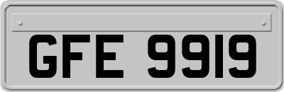 GFE9919