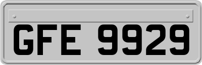 GFE9929