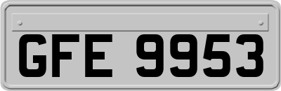 GFE9953