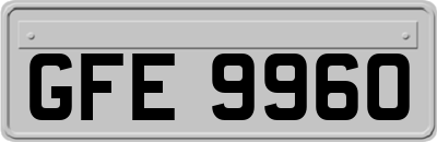 GFE9960
