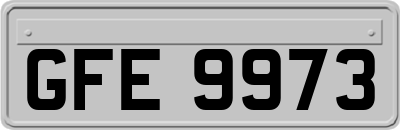 GFE9973