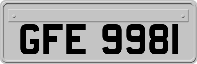 GFE9981